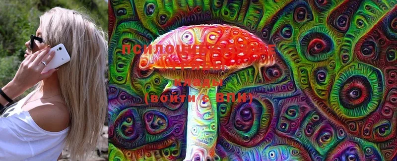 купить наркотик  Болгар  Псилоцибиновые грибы Cubensis 